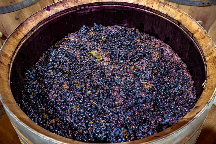 Foto barril de vino abierto uvas preparadas para la fermentación