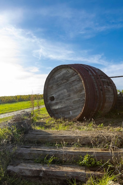 Barril de vino de madera en el viñedo