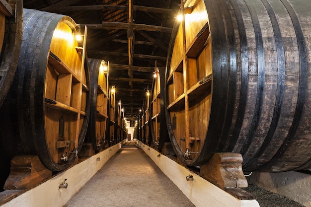 Barriles en la bodega, Porto, Portugal