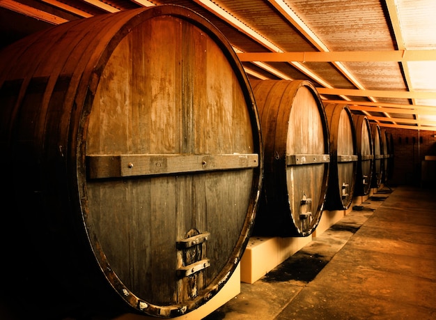 Foto barriles de las bodegas