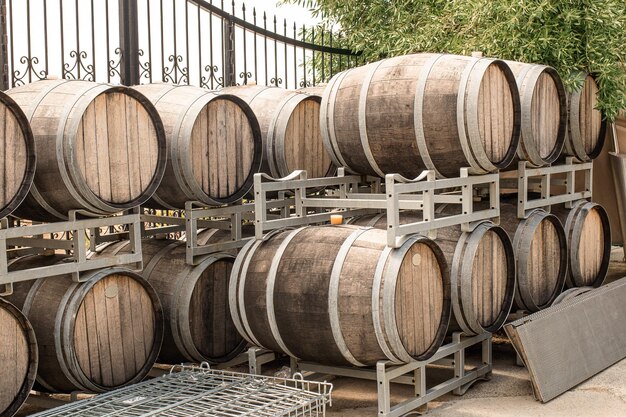 Barriles de madera para vino en el patio de la bodega