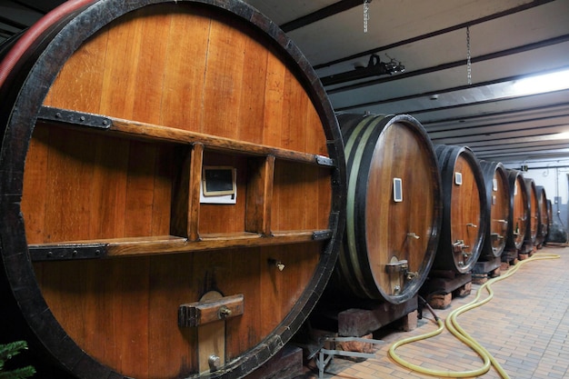 Barriles de vino de roble en una bodega