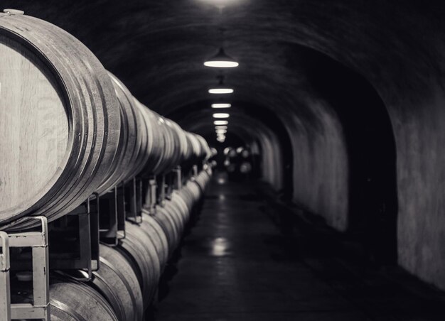 Foto barriles de vino en un túnel iluminado