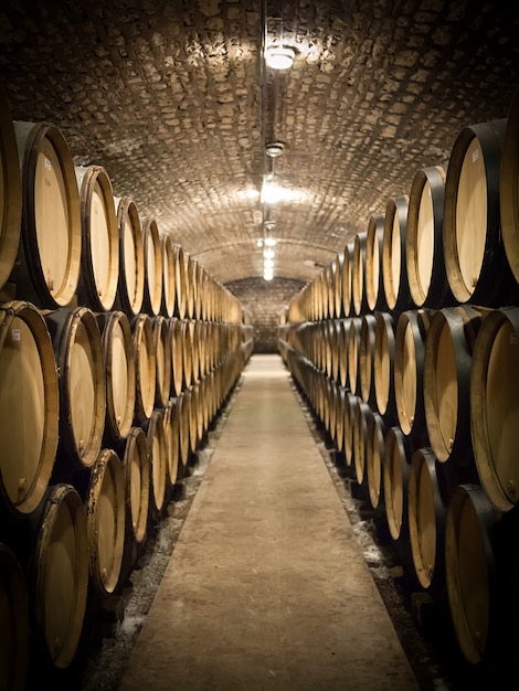 Foto barris de vinho em uma adega, perspectiva, foco seletivo
