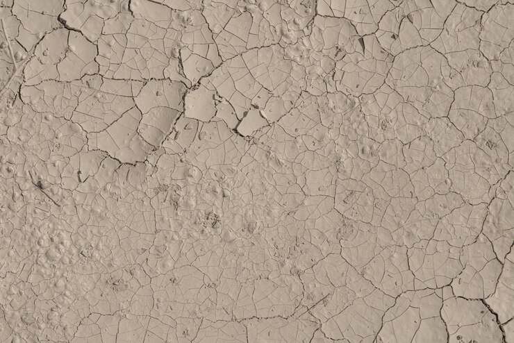 El barro del desierto agrietado