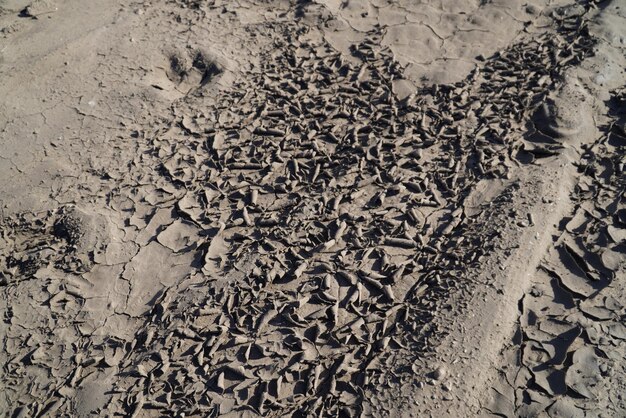 El barro seco se enrolla en la arena del desierto creando un fondo de diseño texturizado