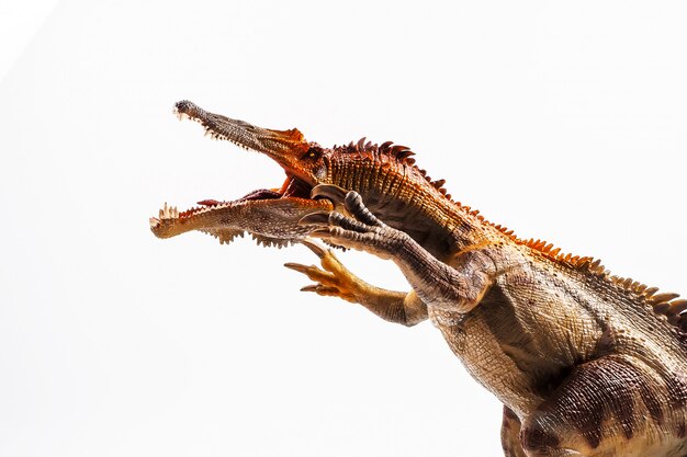 Foto baryonyx, dinossauro em fundo branco