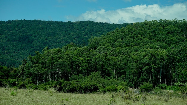 Foto base de montanha