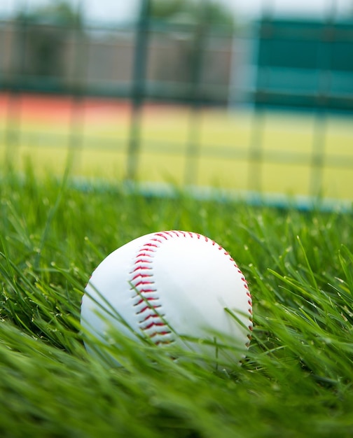 Baseball in the Grass