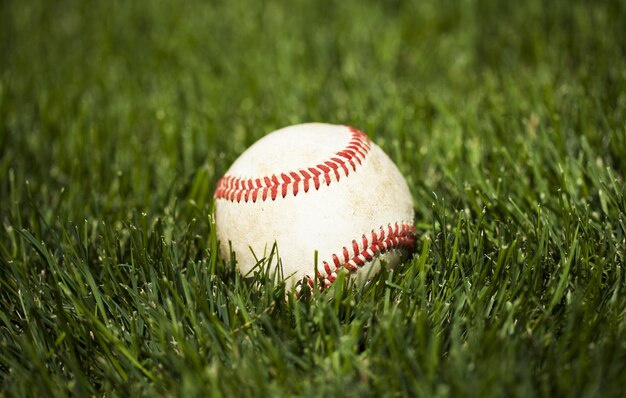 baseball na grama