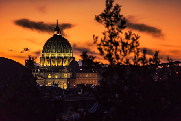 Basílica de San Pedro en el Vaticano Roma