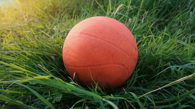 Basketball auf Gras mit Sonnenstrahleffekt