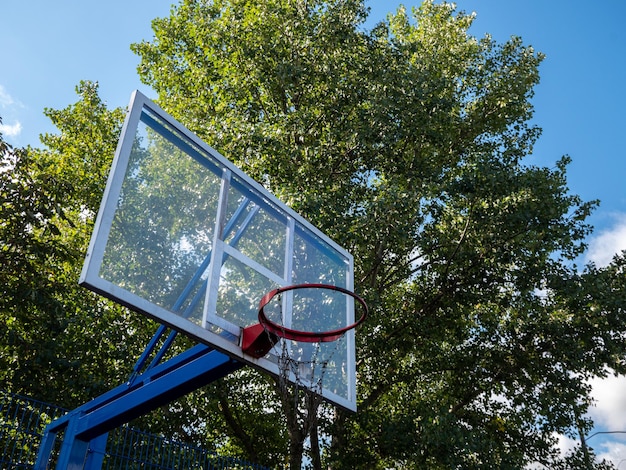 Basketballkorb auf dem Hintergrund grüner Bäume