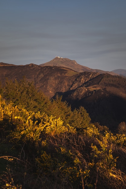 Baskische Berge nach einem Lauffeuer. Gebrannter Wald im Februar 2021.