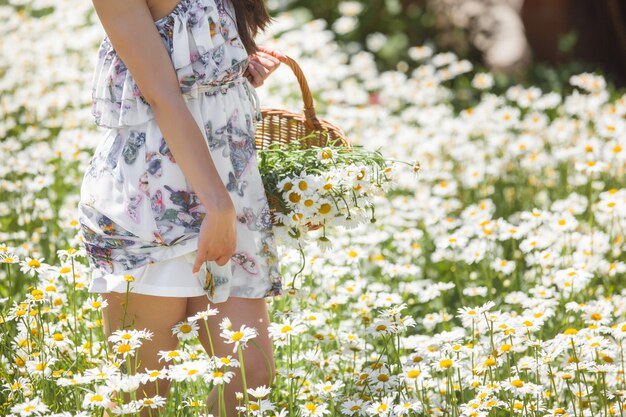 Bastante joven en el campo de manzanilla. Hermosa chica con flores