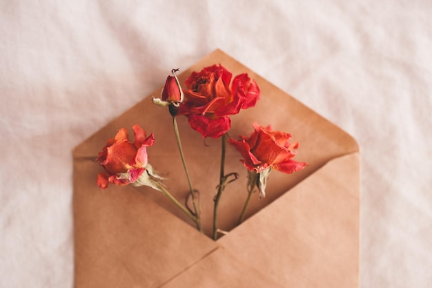 Basteln Sie Papierumschlag mit trockenen roten Rosen über weißer Hintergrundnahaufnahme. Ansicht von oben. Schneckenpost.