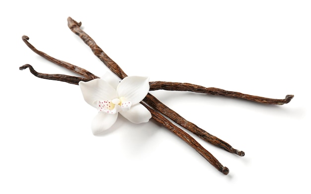 Bastões de baunilha e flores isoladas em branco