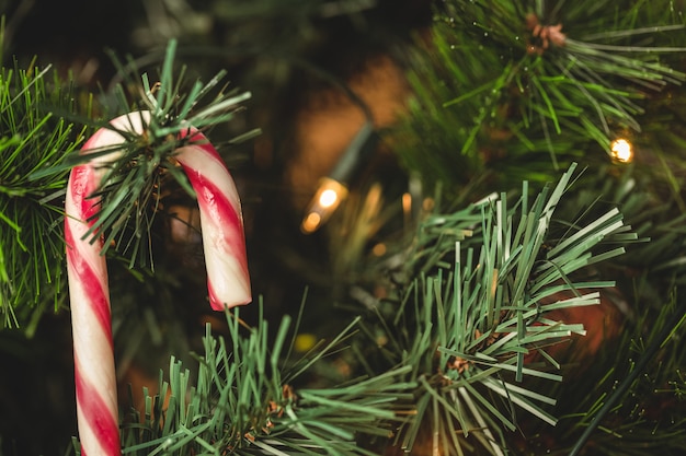 bastón de caramelo colgando en el árbol de navidad