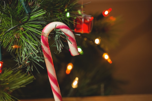 bastón de caramelo colgando en el árbol de navidad