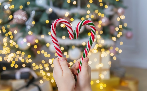 Bastones de caramelo de Navidad en manos de un niño. Enfoque selectivo. Fiesta.