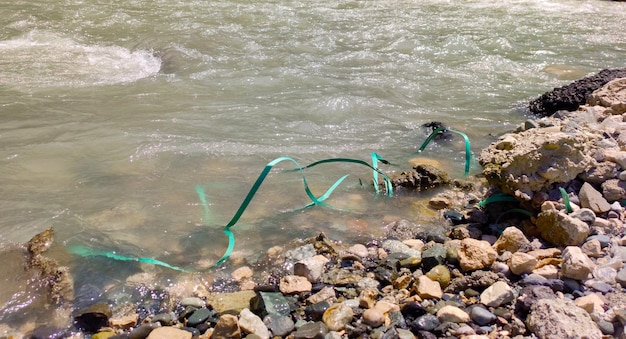 Basura arrojada en el río