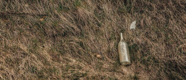 basura en el campo