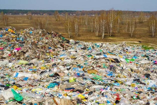 Basura doméstica de la naturaleza