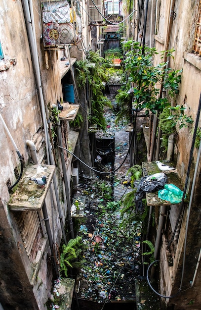 Foto la basura indiscriminada afecta el hábitat de los animales en el antiguo apartamento