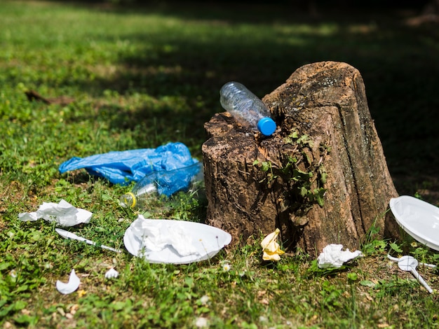 Basura de plástico cerca de tocón de árbol en el jardín