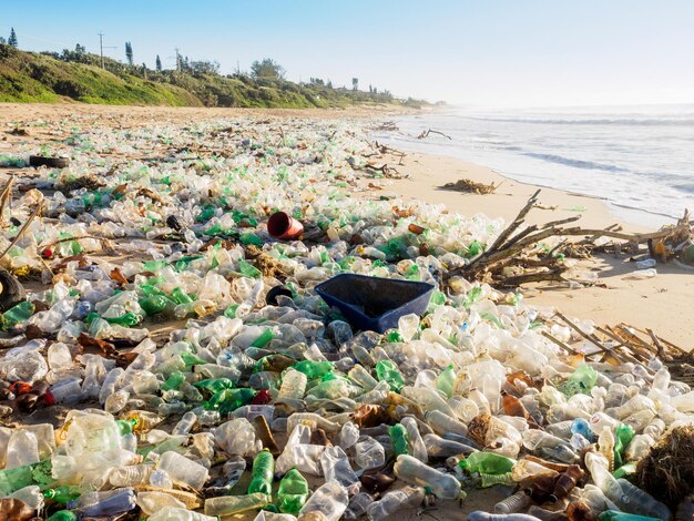 Basura en la playa por el mar contra el cielo