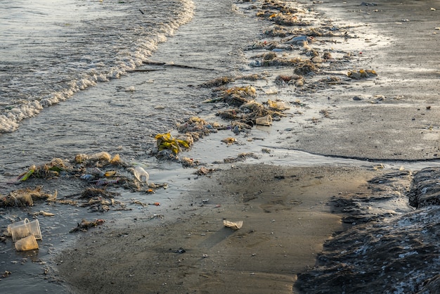 La basura en la playa