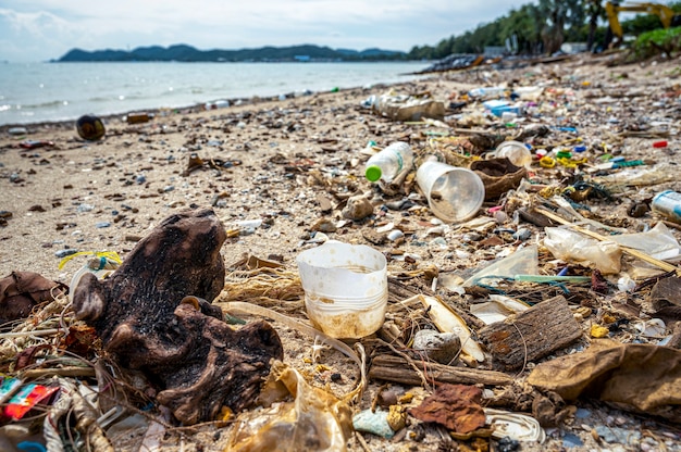 Foto basura en la playa