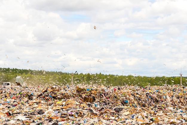 Basurero municipal en vertedero. contaminación ambiental.