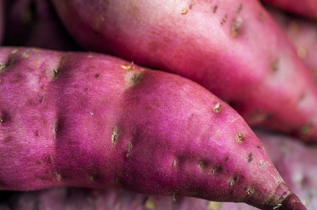 Batata-doce de alimento básico importante para humanos