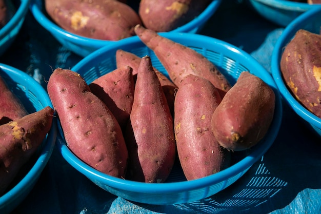 Foto batatas doces japonesas yaki imo em uma barraca de comida de rua em kyoto