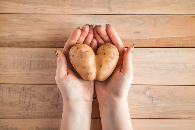 Batatas em forma de coração nas mãos sobre um fundo de madeira conceito de dia dos namorados legumes feios
