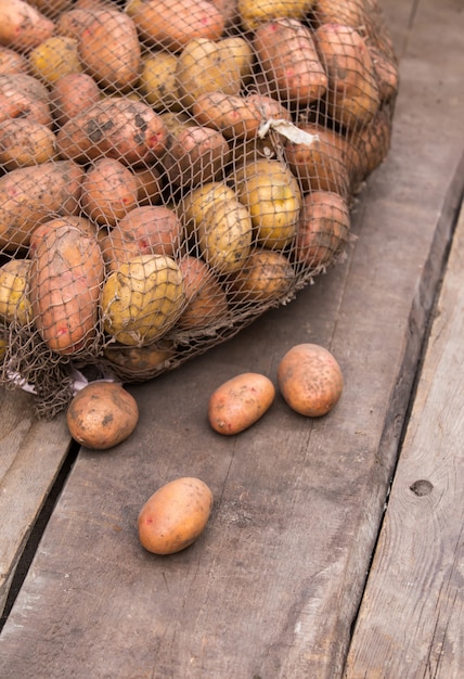 Batatas frescas colhidas com o solo ainda na pele, saindo de um saco de estopa, em uma paleta de madeira áspera.