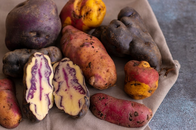 Foto batatas nativas peruanas, colhidas em cusco, peru