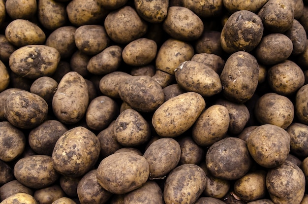 Batatas orgânicas frescas vendidas no mercado