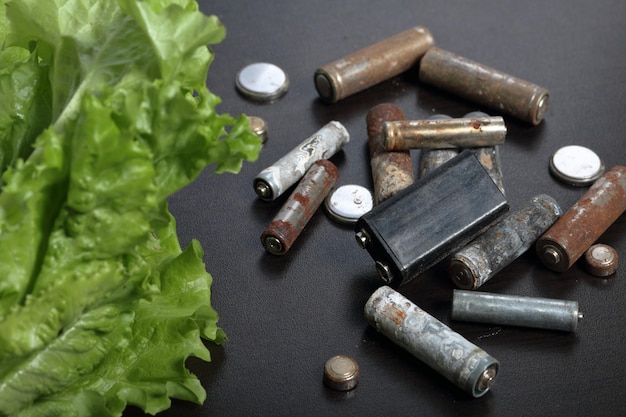 Baterías gastadas y lechuga verde que crece en una olla Reciclaje de baterías residuales