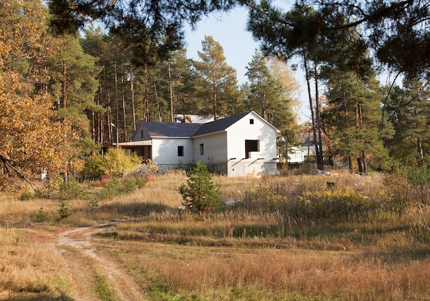 Bau von Backsteinhäusern im Nadelwald