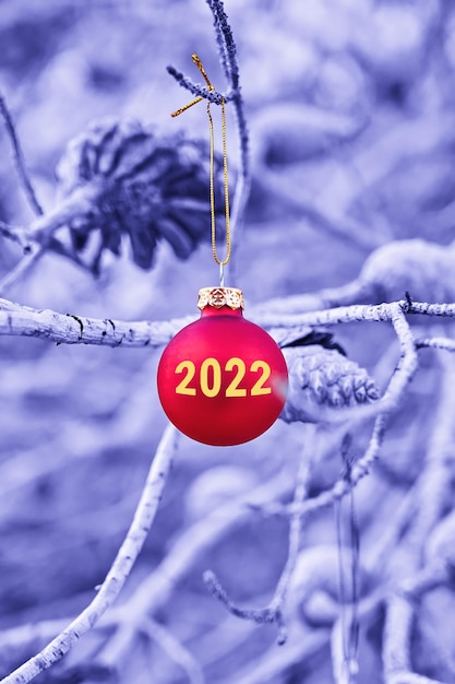 Bauble vermelho de Natal com inscrição de 2022 pendurado no galho do cartão de saudação da árvore para celebração do Ano Novo