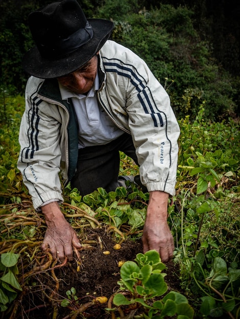 Bauer auf Bio-Bauernhof in den Bergen von Cusco