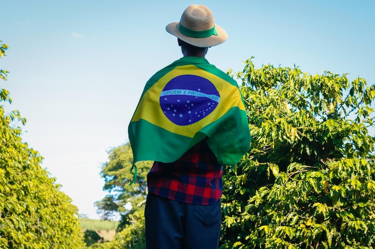 Foto bauer auf einer kaffeeplantage mit brasilianischer flagge