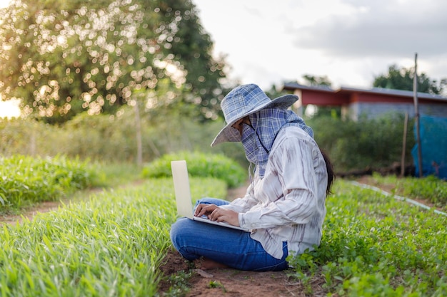 Bauer benutzt einen Laptop in einer Gemüsefarm