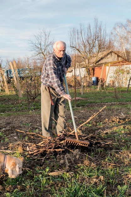 Bauer, der im Herbst mit einem Rechen im Garten arbeitet