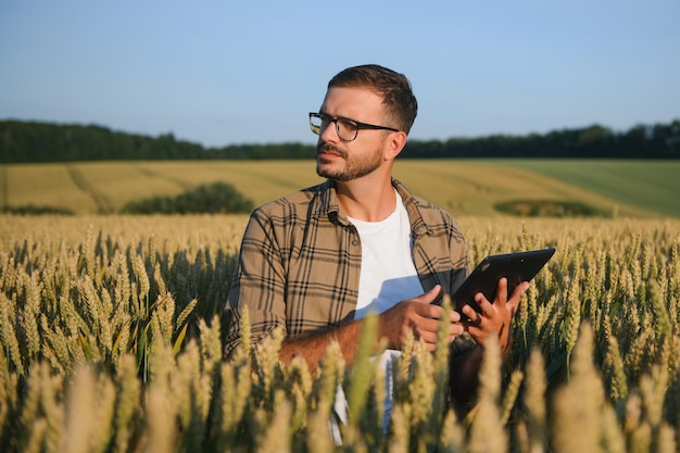 Bauer im Weizenfeld bei der Ernte