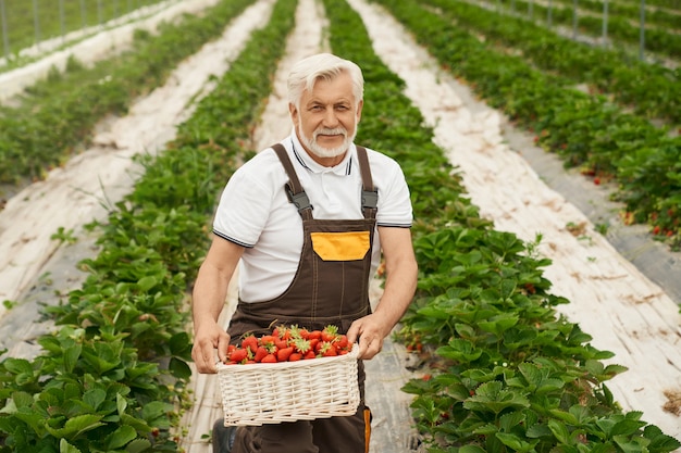 Bauer mit Korb voller reifen Erdbeeren