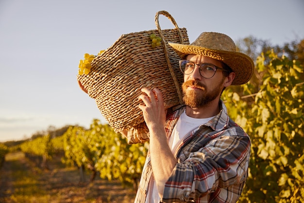 Bauer mit Korb voller Trauben im Weinberg