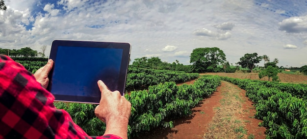 Bauer mit Tablet-Computer auf der Kaffeeplantagen-Feldlandschaft bei Sonnenuntergang